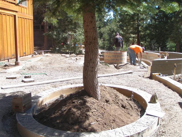 Carey Residence During Custom