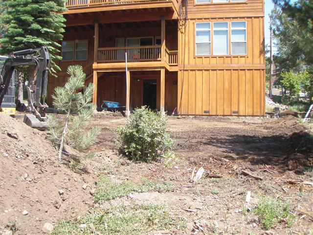 Cary Before 2 Custom