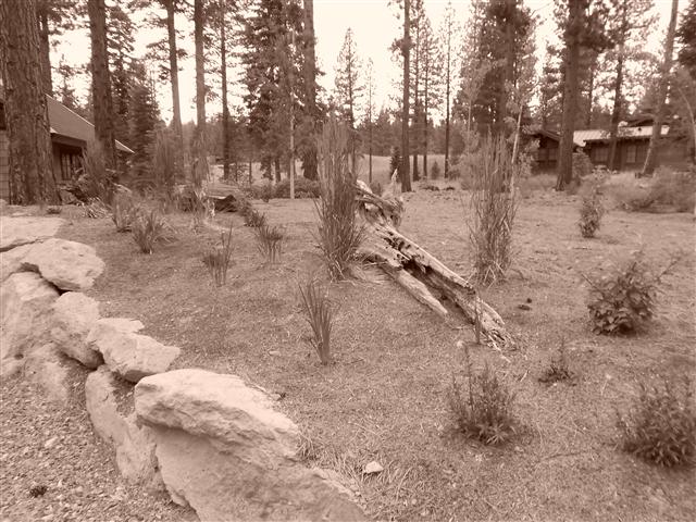 Martis Camp lot 373 2