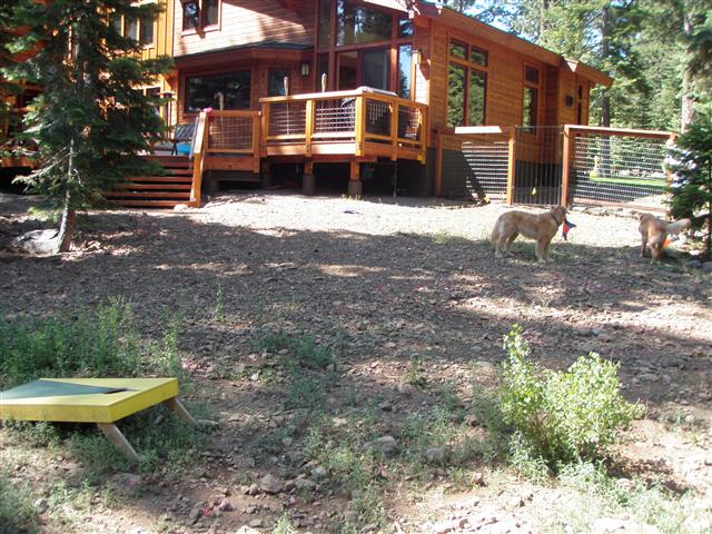 Richards Before Custom