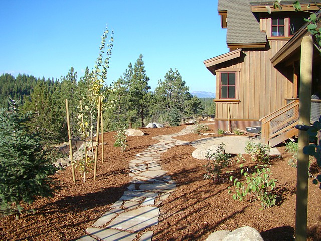 Stepping stone walkway