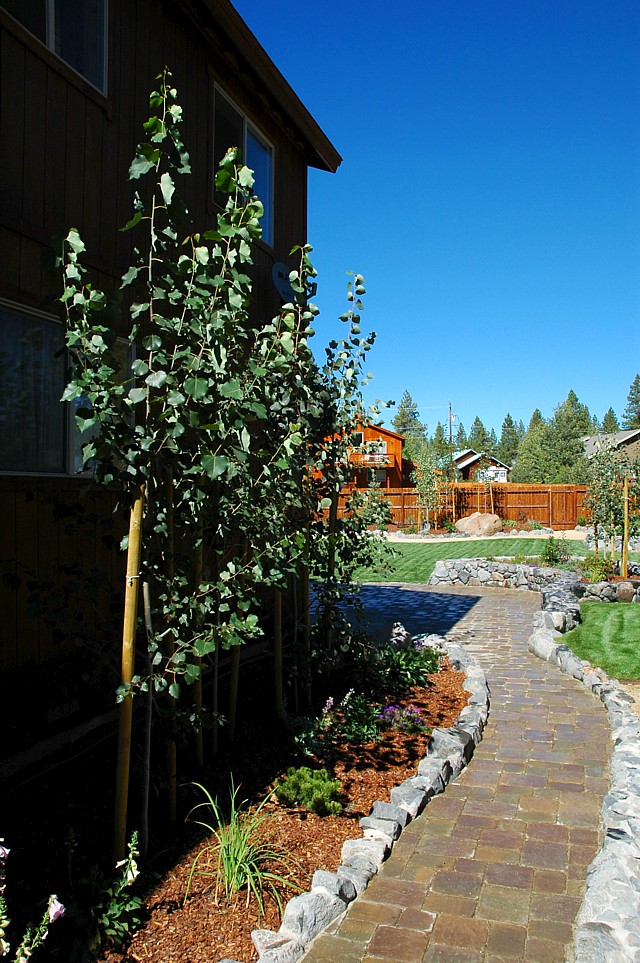 Paver Walkway with Custom Border 1